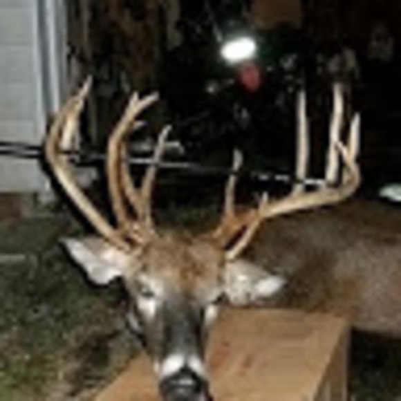 Meet your Posher, R - Picture 1 of 1